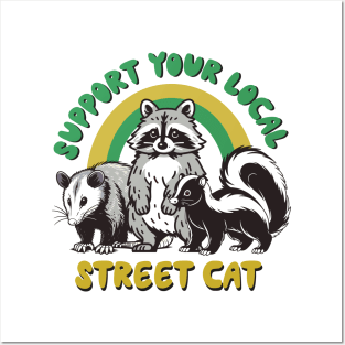 raccoon cat Posters and Art